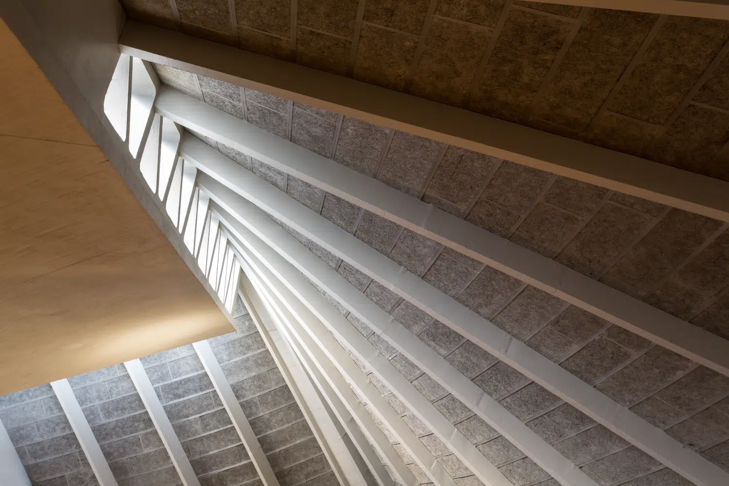 Design museum roof