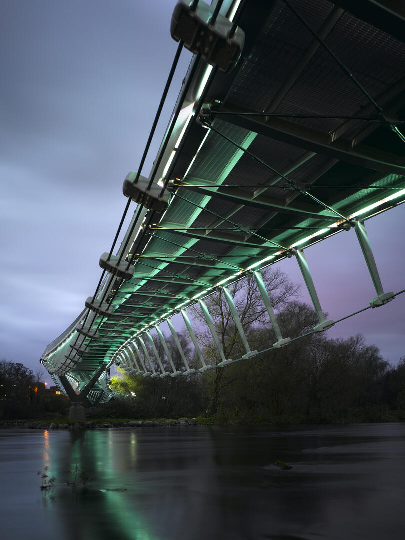 Living Bridge