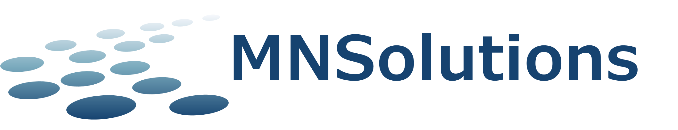 MNSolutions logo 2026